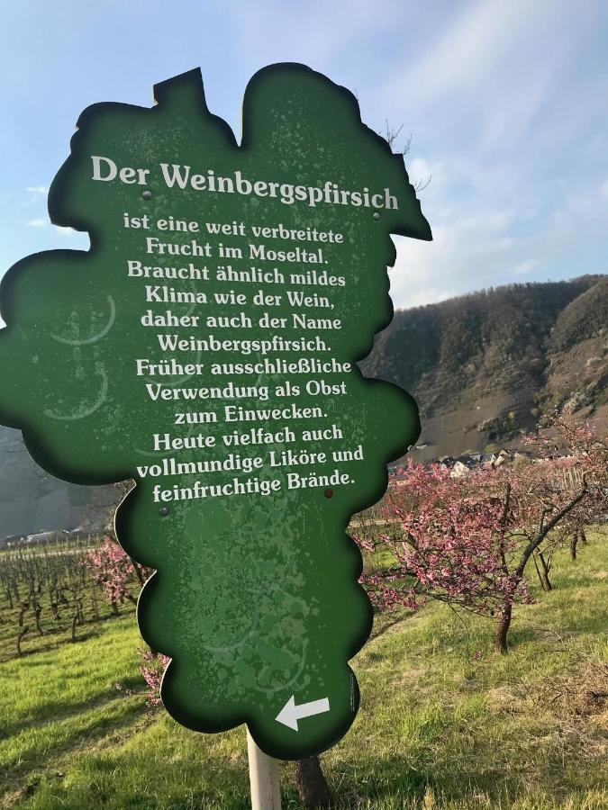 Residenz Moselzauber - Ferienwohnungen Mit Pool Landschaft Ernst Zewnętrze zdjęcie