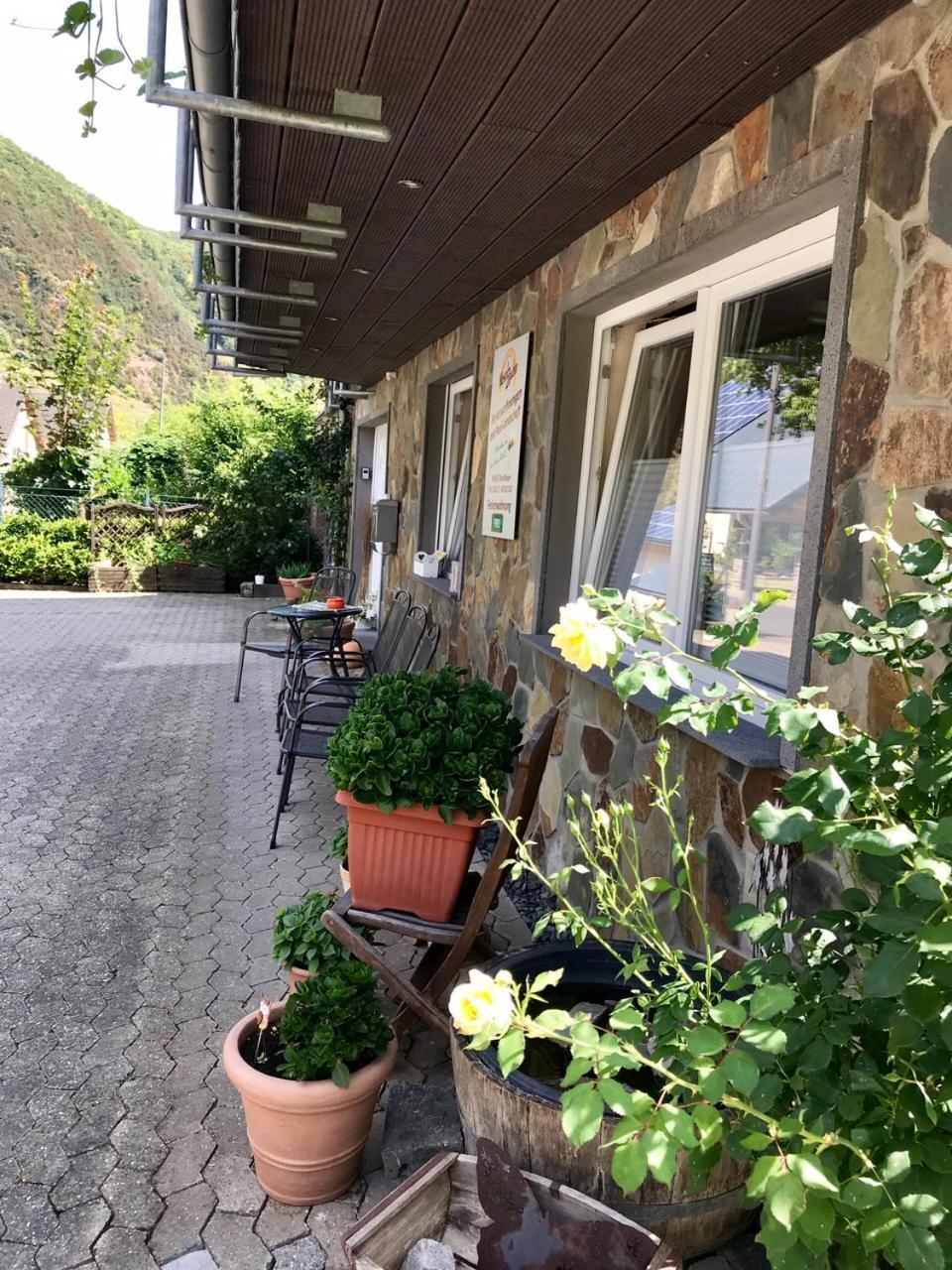 Residenz Moselzauber - Ferienwohnungen Mit Pool Landschaft Ernst Zewnętrze zdjęcie
